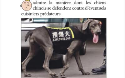 Le bousingot